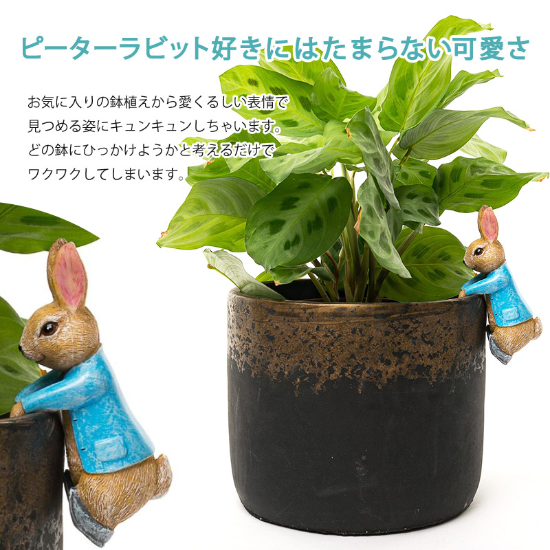 ピーターラビット ポットハンガー ぶらさがり ひっかけ 植木鉢