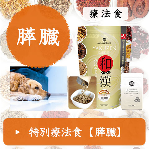 和漢みらいのドッグフード（公式）～無添加・和漢ドッグフード・自然の