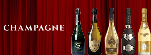 酒OTOKU / レミーマルタン ルイ13世 ミニボトル 50ml スライド