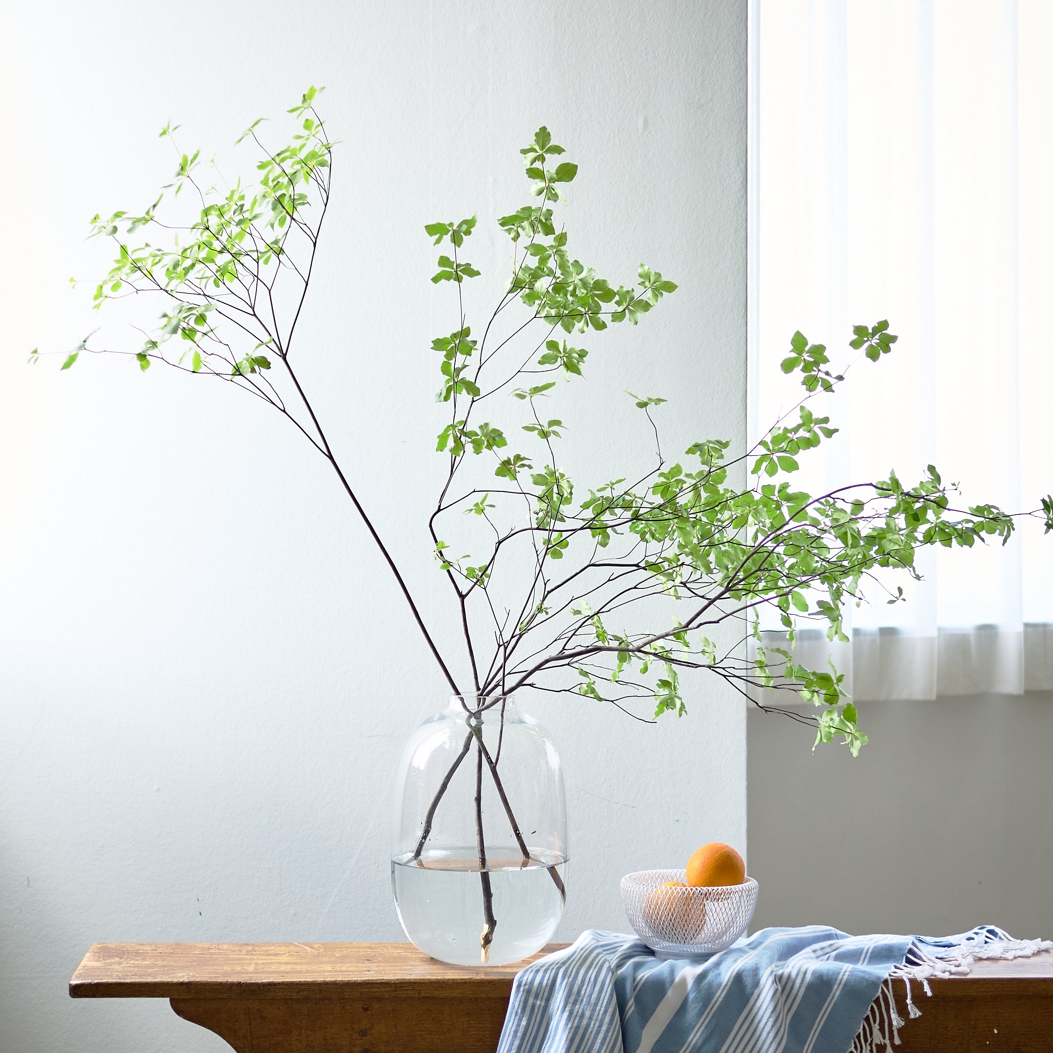 枝ものにおすすめの花瓶・花器一覧｜SiKiTO公式