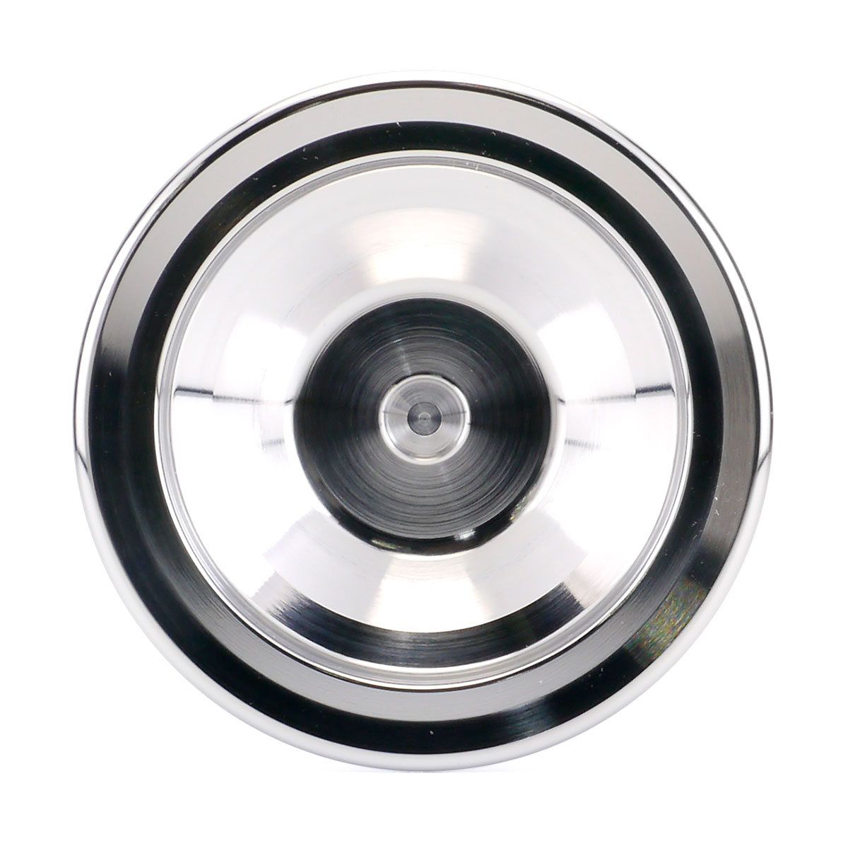 SPINGEAR - HYDRANGEA Magnolia