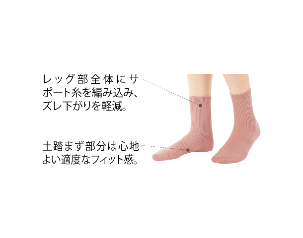 レギュラーソックス（同色2足組） HE024 │ 通販 │ シャルレ ウェブ
