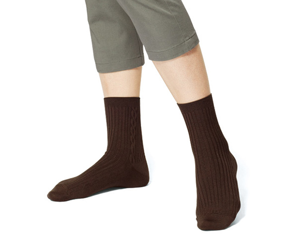 カジュアルソックス（同色2足組） HE081 │ 通販 │ シャルレ ウェブ