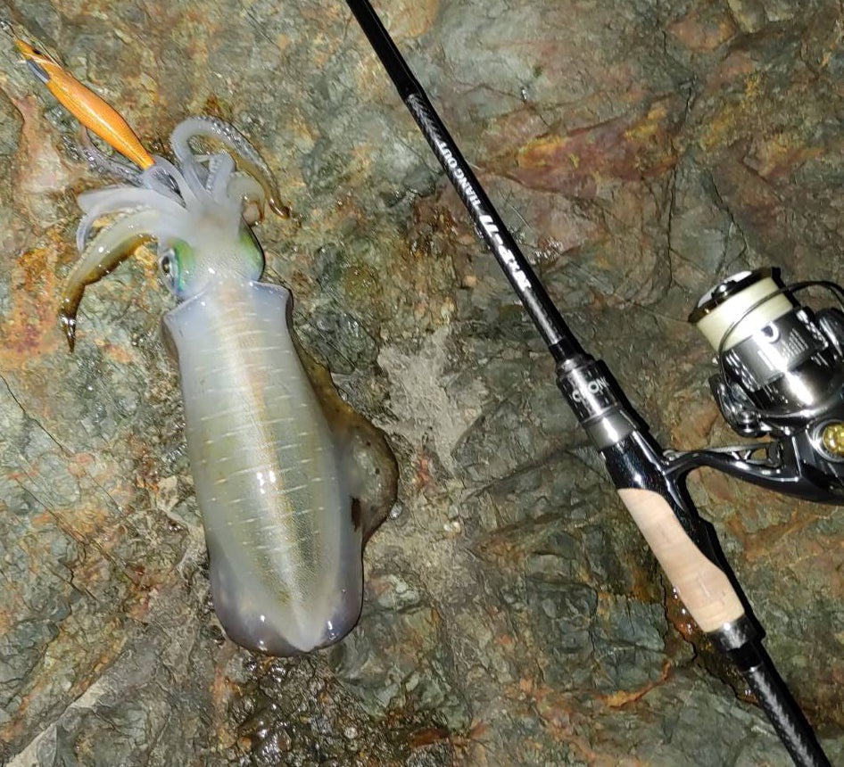 NXP-77 HANG OUT❕ ハングアウト❕インプレ❕ 【よっしー】 | ｴｷﾞﾝｸﾞ