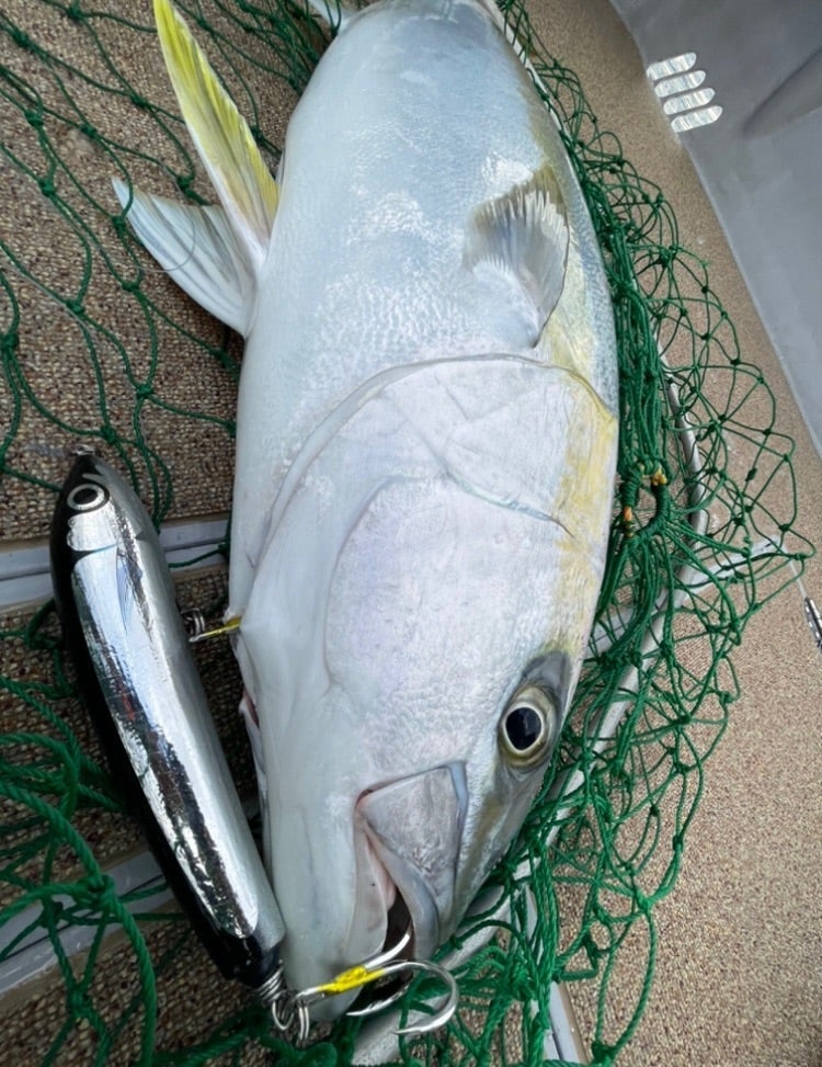 BFのNBタイプ 製品化 発売 | カーペンタールアー、ロッド研究室