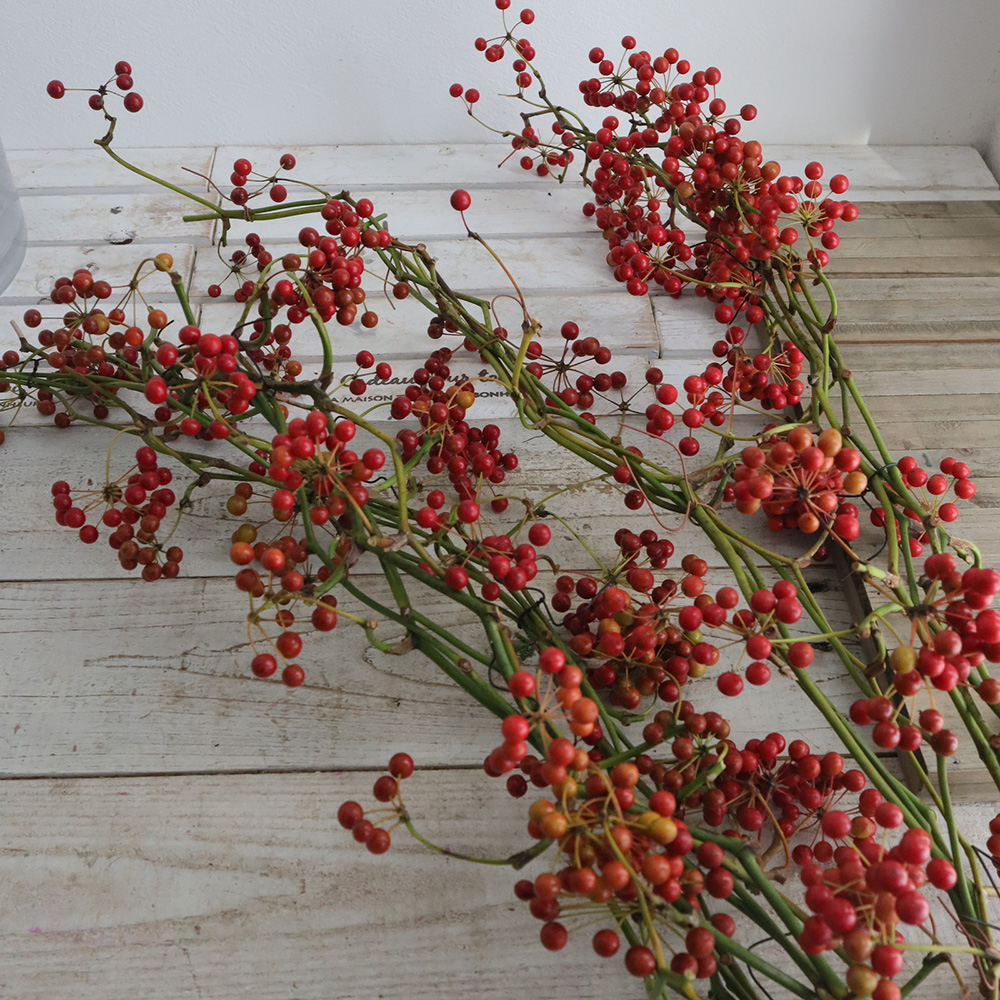 生花】国産サンキライ 5-60cm(枝物)三宅島山上さん【早締切-74】入荷少