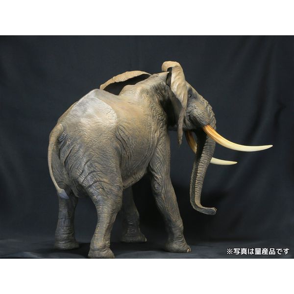 フィギュア: メガソフビアドバンス MSA-007 アフリカゾウ 【2016年3月