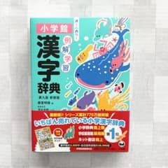 小学館 例解学習漢字辞典 第九版 新装版 オールカラー - メルカリ