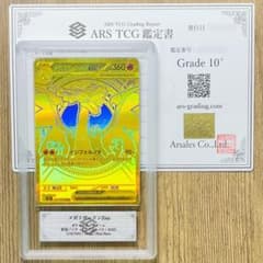 m23714662193_1.jpg?1762219848