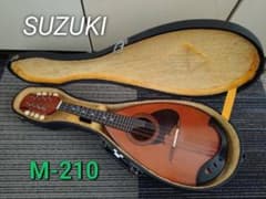 SUZUKI マンドリン M-210(1975年製)ハードケース、ピック付 - メルカリ