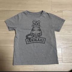 ノースフェイス♡石垣島限定♡140イリオモテヤマネコTシャツ♡ - メルカリ