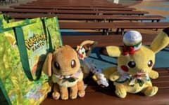 ぬいぐるみ特大イーブイ ピカチュウ ポケパーク カントー 限定