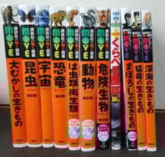 m61758458156_1.jpg?1750387162