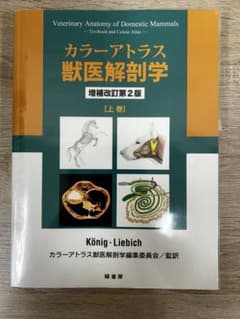 カラ―アトラス獣医解剖学 増補改訂第2版 上巻 - メルカリ