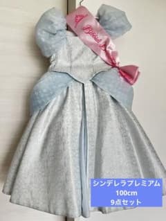 専用 ビビディバビディブティック シンデレラ プレミアム ドレス 9点