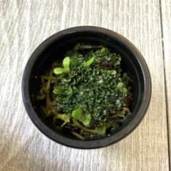 ビカクシダ P.Willinckii OMG 前葉体 胞子体 B - メルカリ