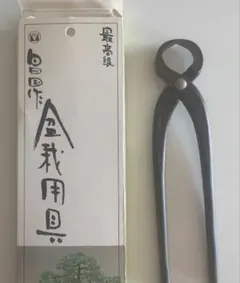 2026年最新】昌国 盆栽の人気アイテム - メルカリ