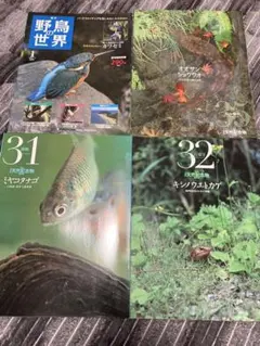 2026年最新】週刊 野鳥の世界の人気アイテム - メルカリ