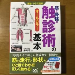 2026年最新】骨格筋の形と触察法の人気アイテム - メルカリ