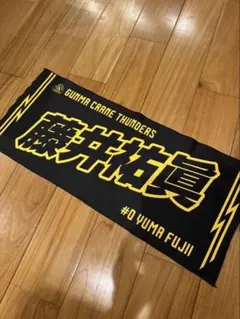 2026年最新】クレインサンダーズ タオルの人気アイテム - メルカリ