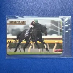 m11357954176_1.jpg?1767841636