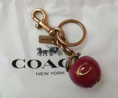 2026年最新】coach キーホルダー リンゴの人気アイテム - メルカリ