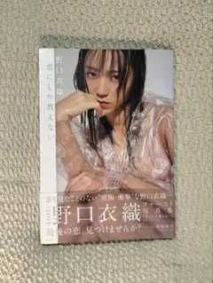 2026年最新】野口衣織 写真 君しか教えないの人気アイテム - メルカリ