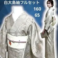 2026年最新】白大島 紬 未使用の人気アイテム - メルカリ