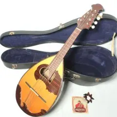 2026年最新】石川マンドリンの人気アイテム - メルカリ