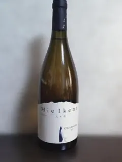 2026年最新】ミエイケノ シャルドネの人気アイテム - メルカリ