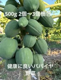 2026年最新】パパイヤの葉の人気アイテム - メルカリ