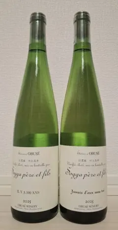 2026年最新】イリヤソントンの人気アイテム - メルカリ