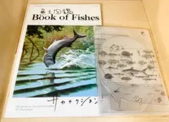 2026年最新】魚図鑑 初回限定の人気アイテム - メルカリ