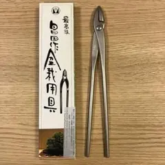 2026年最新】昌国 盆栽の人気アイテム - メルカリ