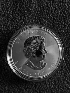 2026年最新】メイプルリーフ銀貨の人気アイテム - メルカリ