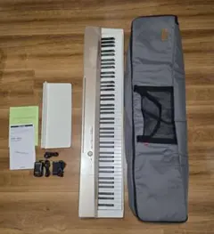 2026年最新】シャンパンゴールド)カシオ 電子ピアノ プリヴィア PX