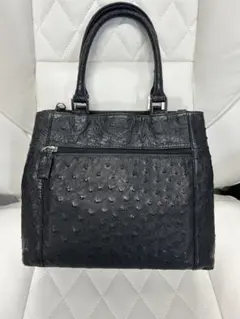 2026年最新】オーストリッチ JRA KLEIN KAROOの人気アイテム - メルカリ