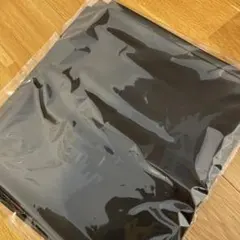 2026年最新】愛波あや 遮光の人気アイテム - メルカリ