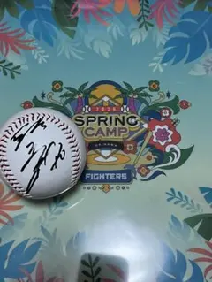 2026年最新】五十幡亮汰 サインの人気アイテム - メルカリ