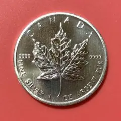 2026年最新】メイプルリーフ銀貨の人気アイテム - メルカリ