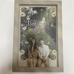 2026年最新】サイコだけど大丈夫 ostの人気アイテム - メルカリ