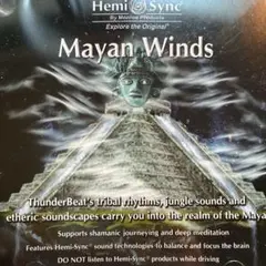 2026年最新】ヘミシンク 体外への旅の人気アイテム - メルカリ