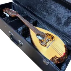 2026年最新】カラーチェ マンドリンの人気アイテム - メルカリ