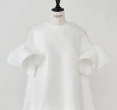 2026年最新】heve ブラウスの人気アイテム - メルカリ