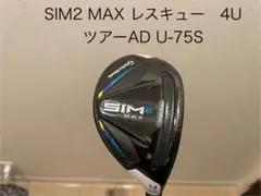 2026年最新】sim max レスキュー 4の人気アイテム - メルカリ