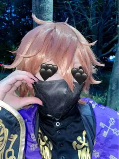 2026年最新】エース・トラッポラ ウィッグの人気アイテム - メルカリ