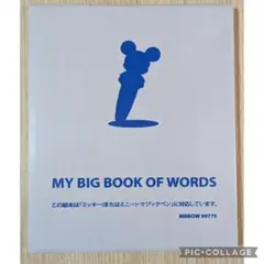 2026年最新】dwe my big book of wordsの人気アイテム - メルカリ