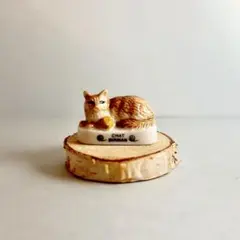 2026年最新】フェーブ 猫の人気アイテム - メルカリ