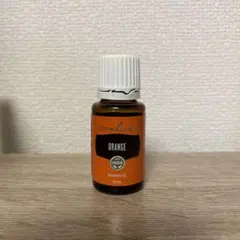 2026年最新】ヤングリビングの人気アイテム - メルカリ