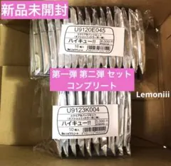 2026年最新】ハイキュー!! スクエア缶バッジ オフショット×カラー 第一